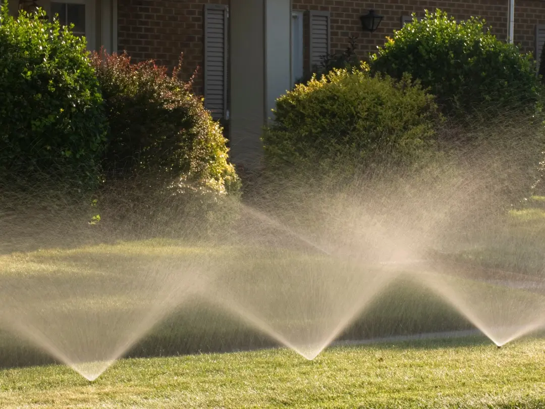 garden-sprinklers-watering-lawn-at-sunset