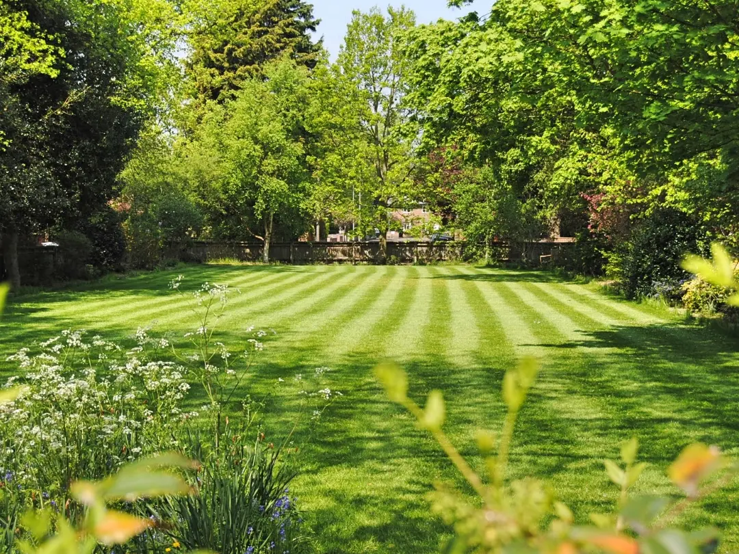backyard-lawn-mowing-on-sunny-day
