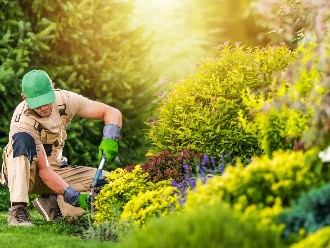 garden-maintenance-worker-weeding-garden-bed