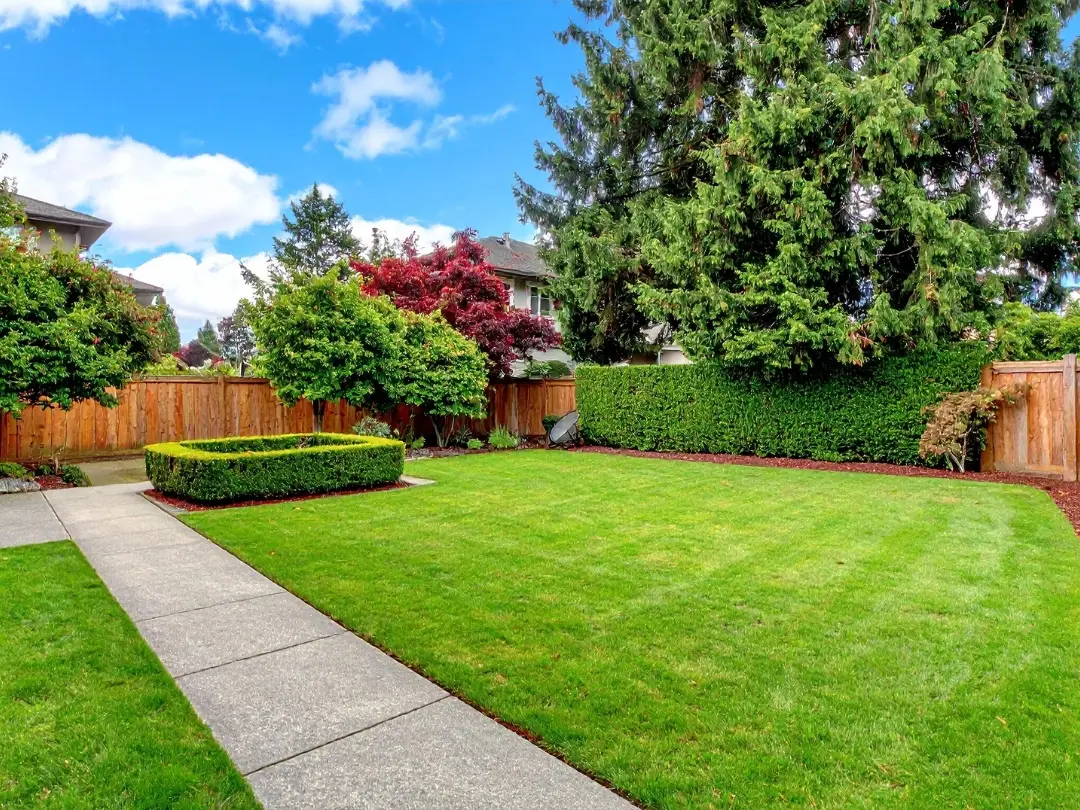 property-lawn-mowing-service-on-sunny-day