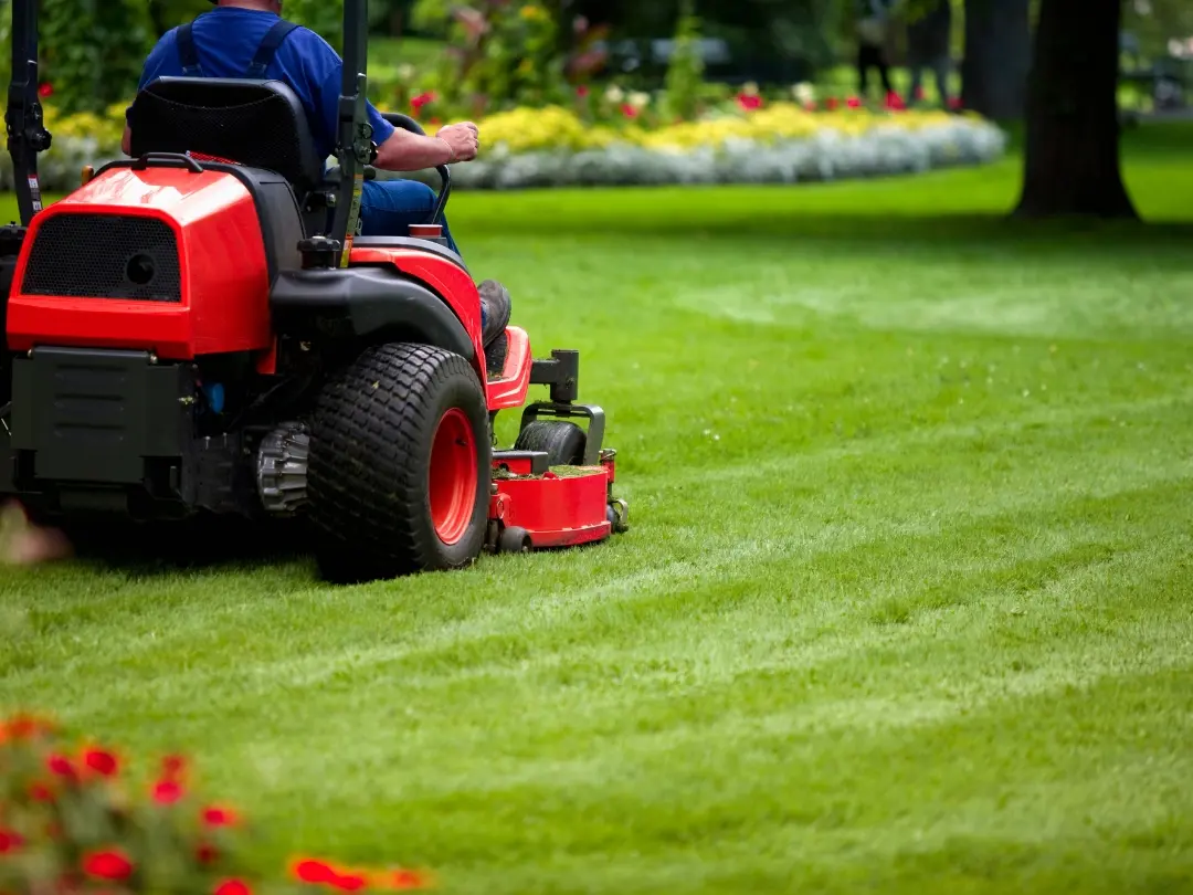 red-ride-on-mower-cutting-grass