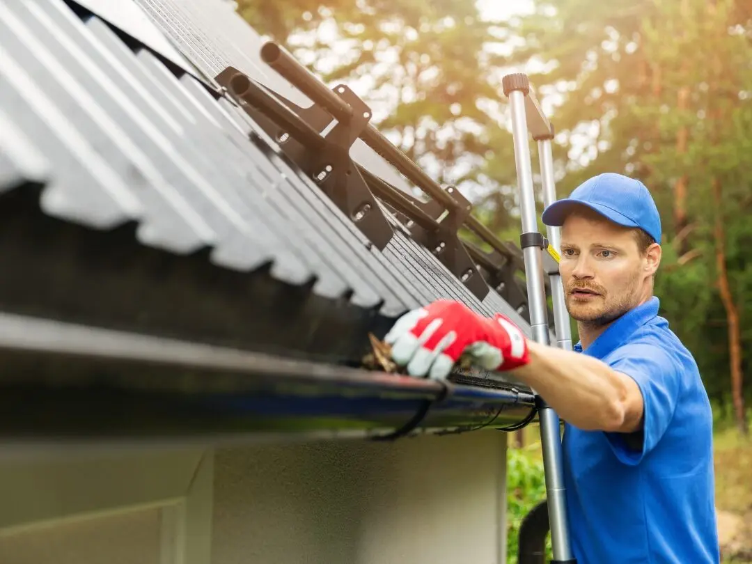 Gutter cleaner on a ladder removing leaves from a home gutter in North Brisbane